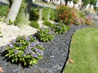 Laniscat- parc mairie 2 md.JPG